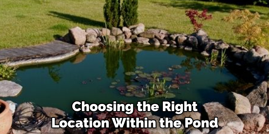 Choosing the Right 
Location Within the Pond