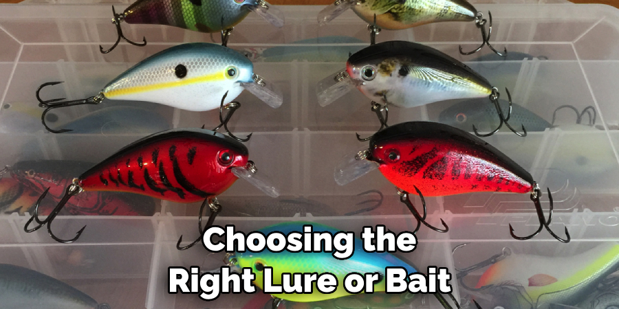 Choosing the Right Lure or Bait