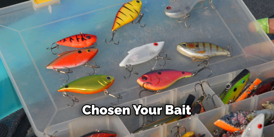 Chosen Your Bait