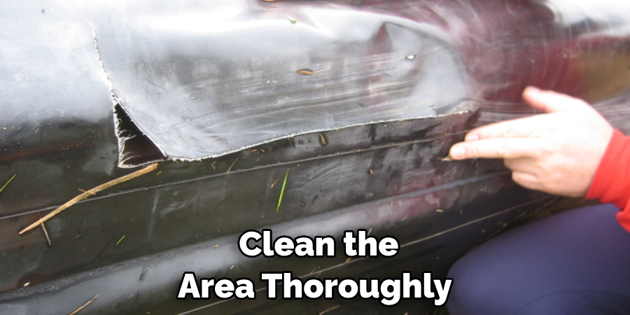 Clean the Area Thoroughly