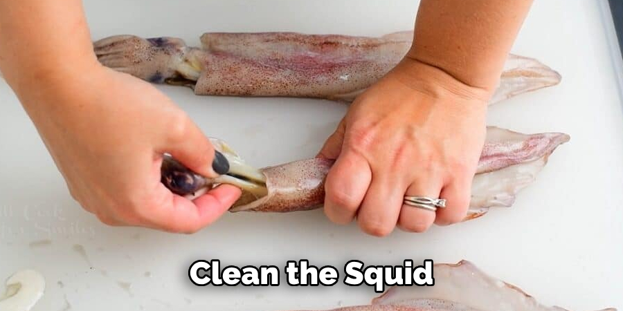 Clean the Squid