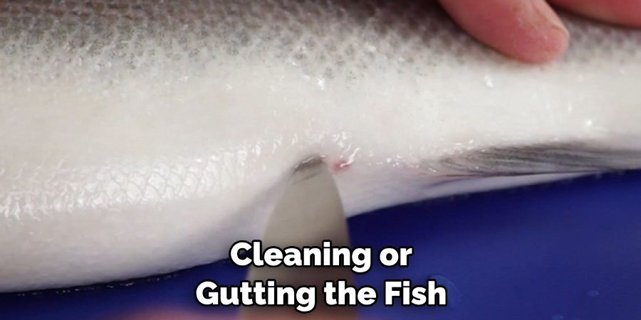 Cleaning or Gutting the Fish