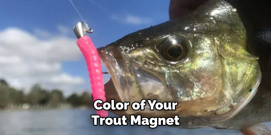 Color of Your Trout Magnet