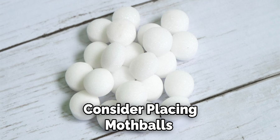 Consider Placing Mothballs 