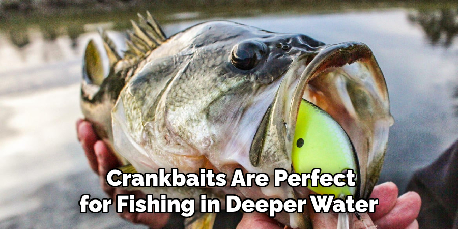 Crankbaits Are Perfect for Fishing in Deeper Water 