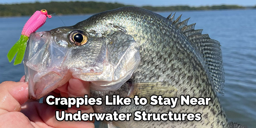 Crappies Have a 
Delicate Mouth
