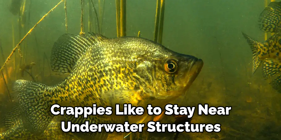 Crappies Like to Stay Near 
Underwater Structures 