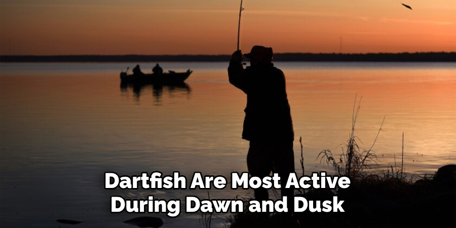 Dartfish Are Most Active During Dawn and Dusk