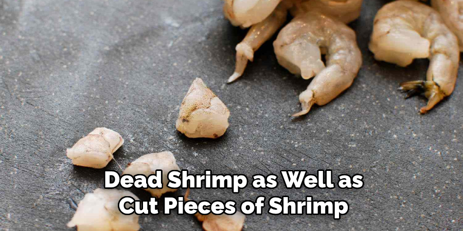 Dead Shrimp, as Well as Cut Pieces of Shrimp