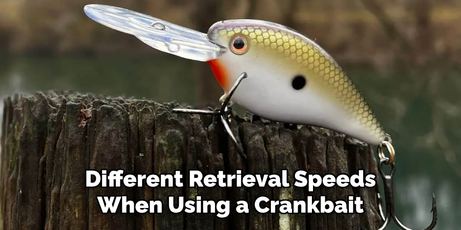 Different Retrieval Speeds When Using a Crankbait