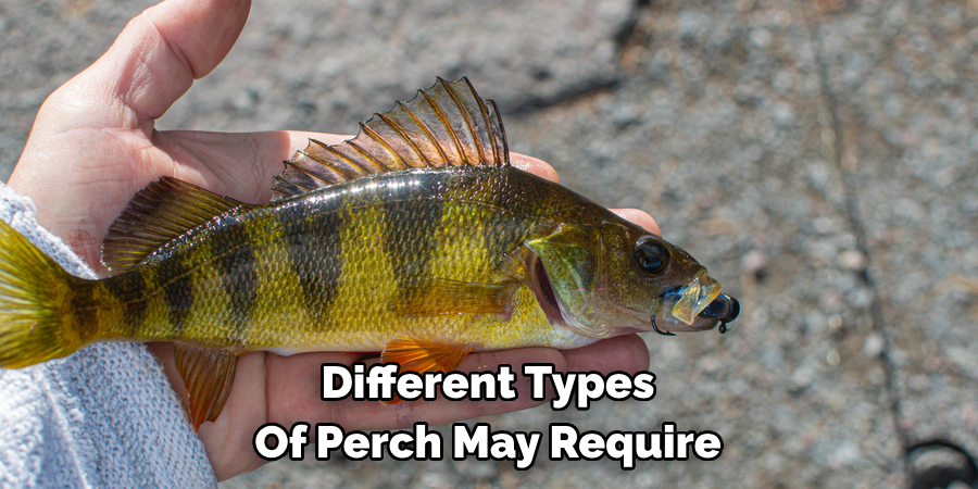 Different Types Of Perch May Require