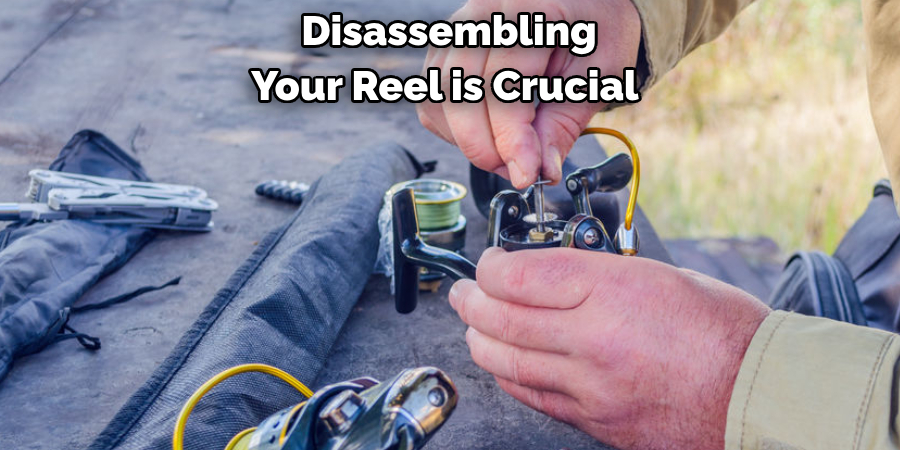 Disassembling 
Your Reel is Crucial 