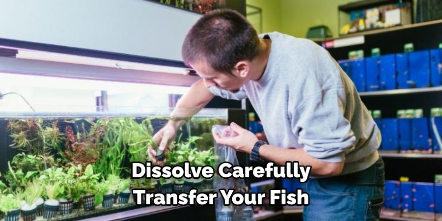 Dissolve Carefully Transfer Your Fish