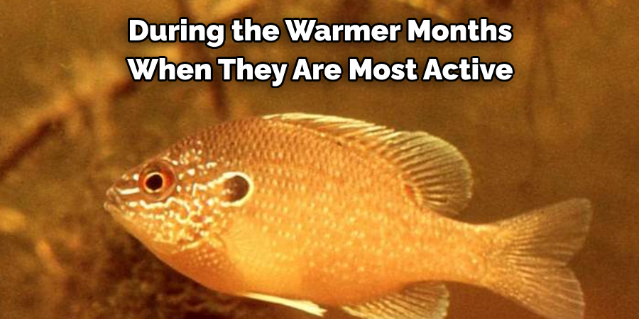 During the Warmer Months 
When They Are Most Active