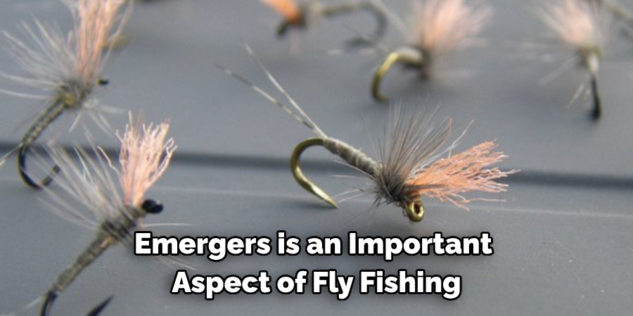 Emergers is an Important 
Aspect of Fly Fishing