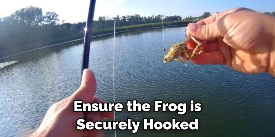 Ensure the Frog is Securely Hooked