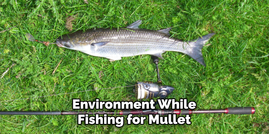 Environment While Fishing for Mullet