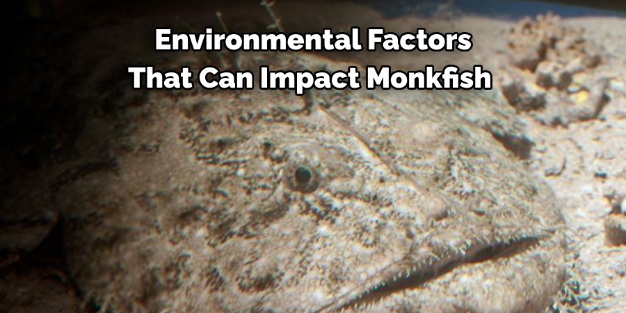 Environmental Factors That Can Impact Monkfish