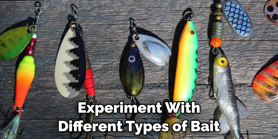 Experiment With Different Types of Bait