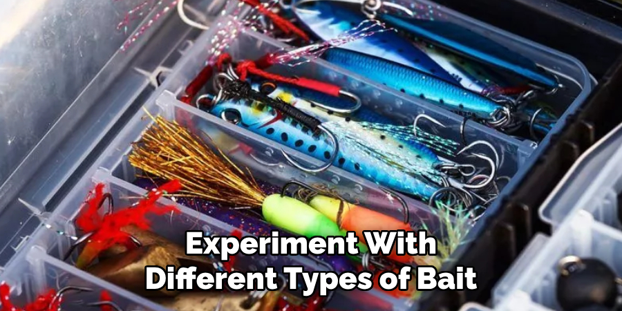 Experiment With Different Types of Bait