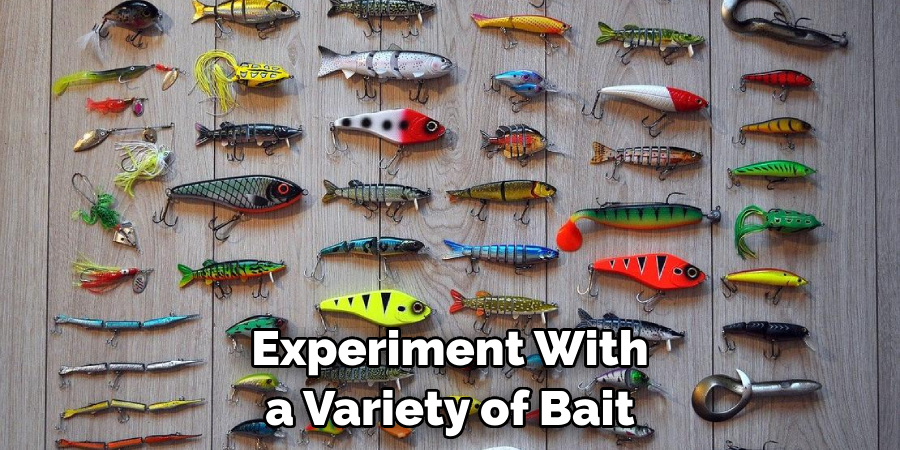 Experiment With a Variety of Bait