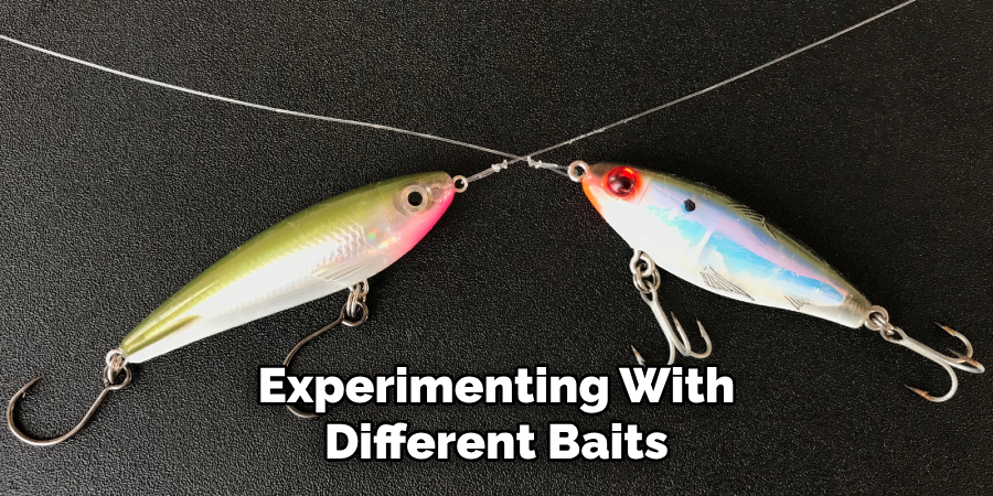 Experimenting With Different Baits