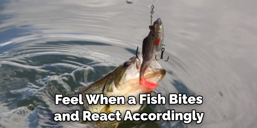  Feel When a Fish Bites and React Accordingly