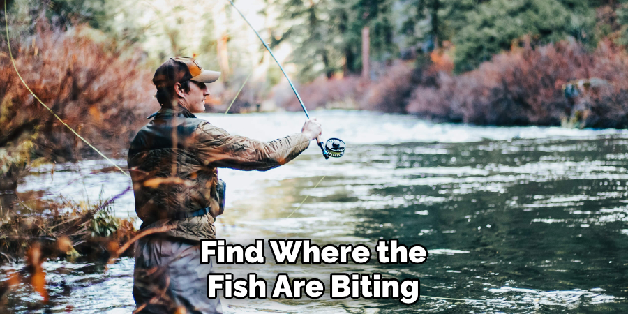 Find Where the Fish Are Biting