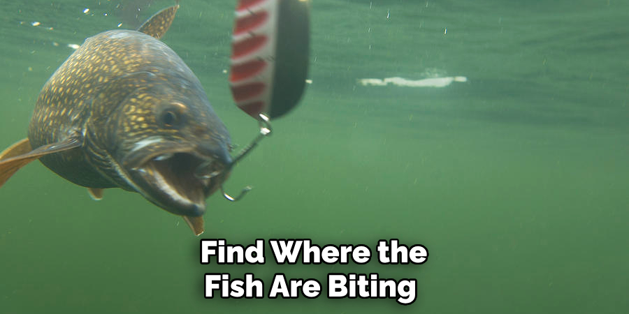  Find Where the Fish Are Biting