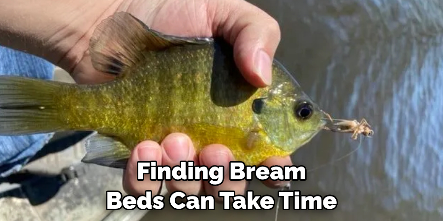 Finding Bream Beds Can Take Time 