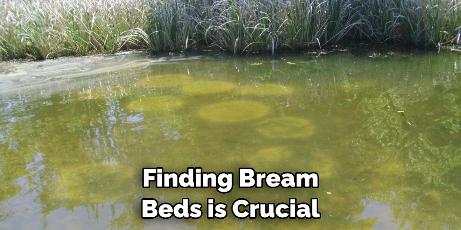 Finding Bream Beds is Crucial