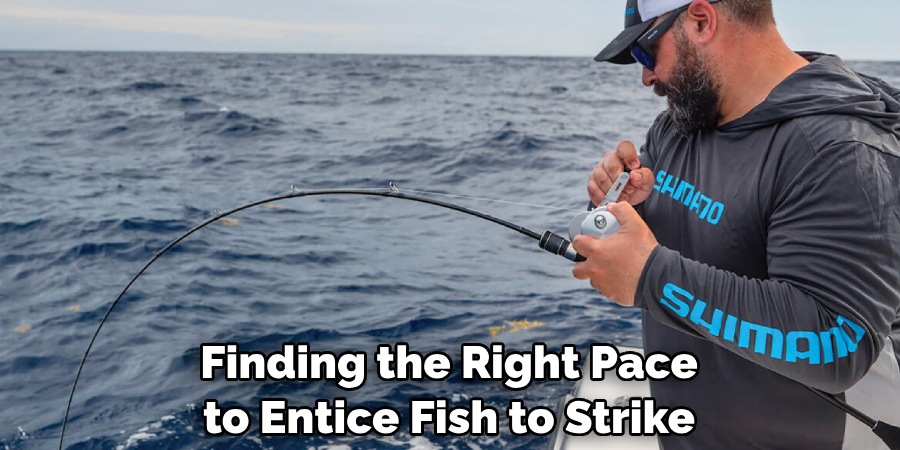 Finding the Right Pace to Entice Fish to Strike