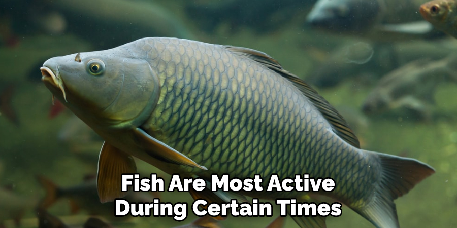 Fish Are Most Active During Certain Times