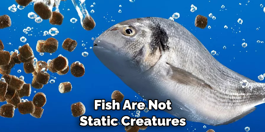 Fish Are Not Static Creatures