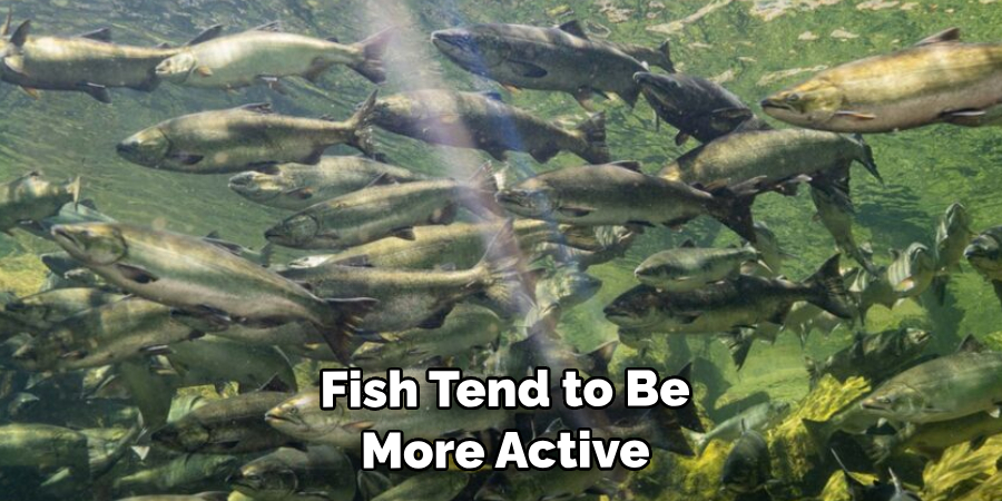  Fish Tend to Be More Active