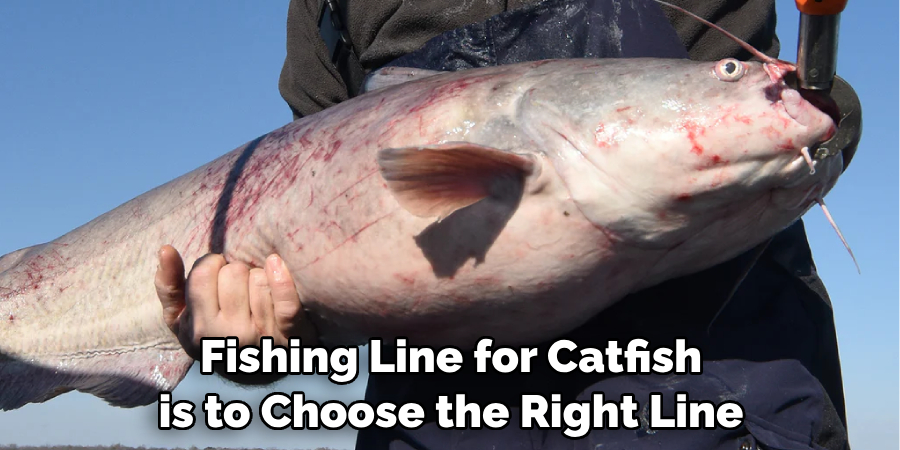 Fishing Line for Catfish is to Choose the Right Line