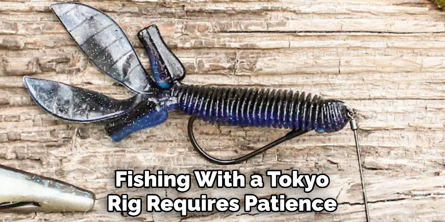 Fishing With a Tokyo Rig Requires Patience