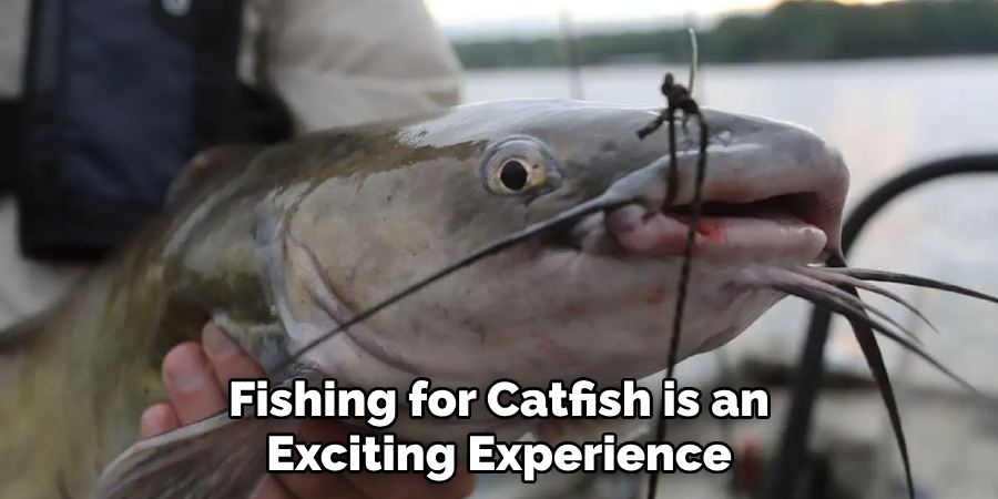 Fishing for Catfish is an Exciting Experience