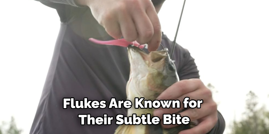 Flukes Are Known for Their Subtle Bite