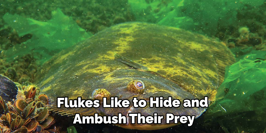 Flukes Like to Hide and Ambush Their Prey