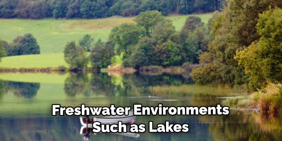  Freshwater Environments Such as Lakes