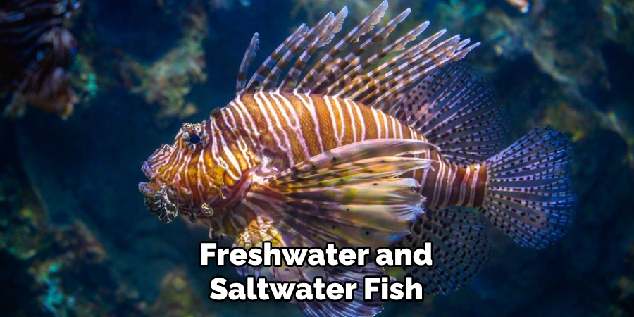 Freshwater and Saltwater Fish