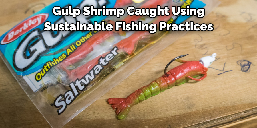 Gulp Shrimp Caught Using Sustainable Fishing Practices