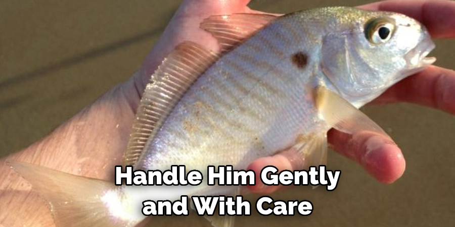 Handle Him Gently and With Care