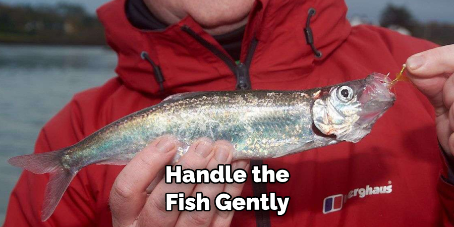 Handle the Fish Gently