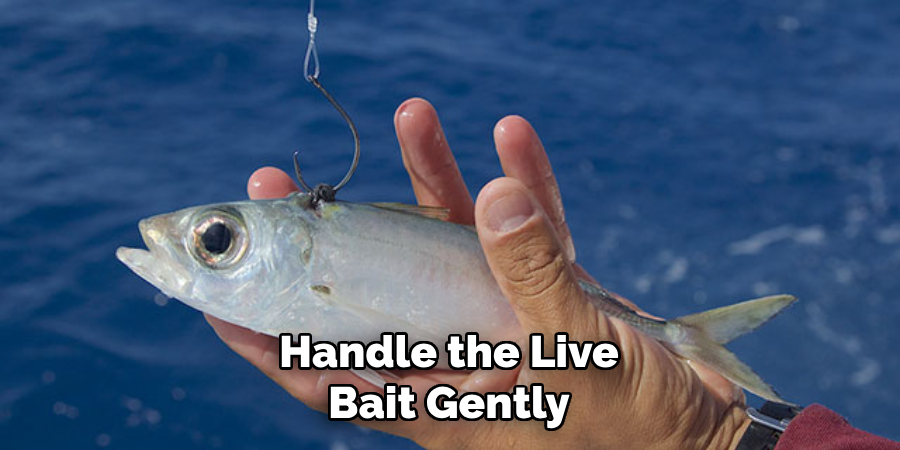 Handle the Live Bait Gently