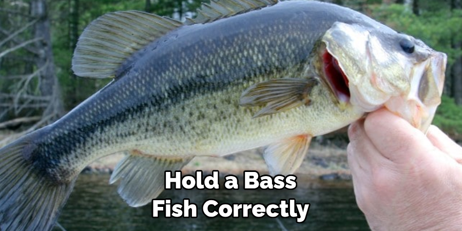 Hold a Bass Fish Correctly