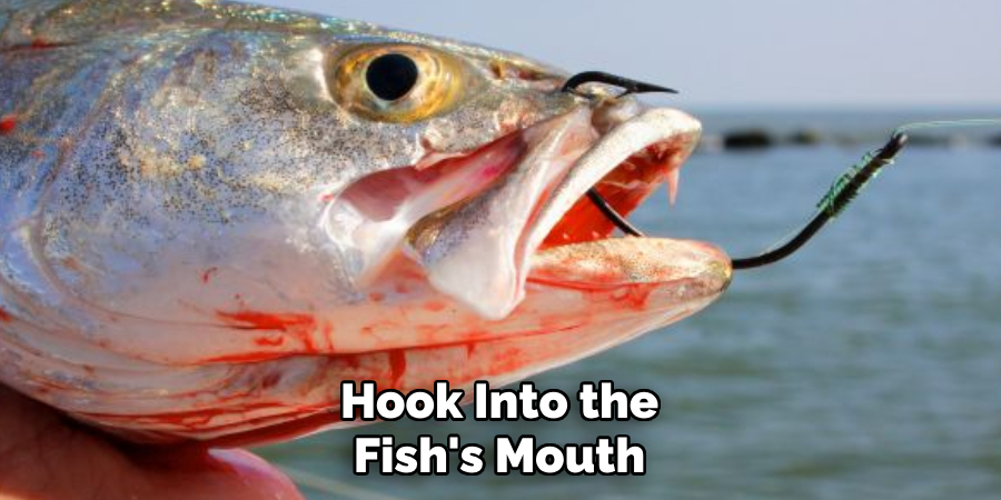 Hook Into the Fish's Mouth