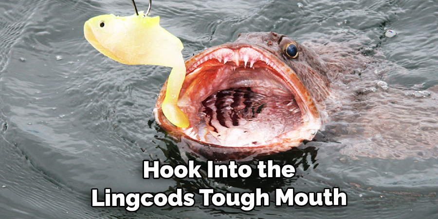  Hook Into the Lingcod's Tough Mouth