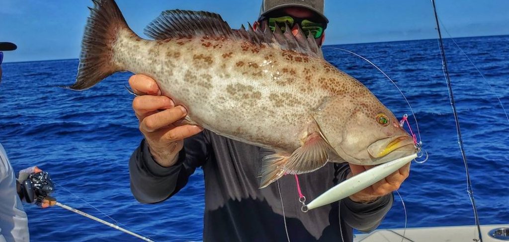 How to Catch Grouper in the Gulf